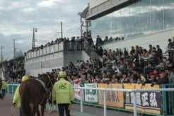 超満員となった門別競馬場
