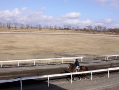 1周1000mのダートコース