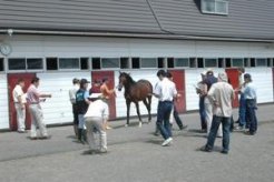 厩舎の前で実馬検査