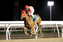 2歳戦勝利第1号となったパフォーマンス