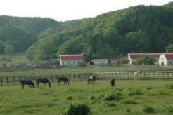 栄進牧場繁殖分場の遠景～浦河町絵笛