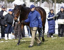 新種牡馬のスリーロールス