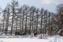 冬のすずらん乗馬クラブの風景