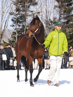 2007年の皐月賞(Jpn1)を逃げ切ったヴィクトリー