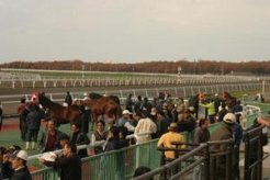 上場馬の展示～門別競馬場