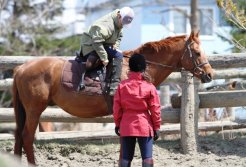 住まいは住宅地に近い乗馬施設