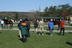 上場馬の下見には多くの生産者の鋭い視線が注がれた