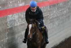 研修生の笹島智則さんとJRA育成馬