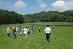 良い牧草の生え揃う広い放牧地