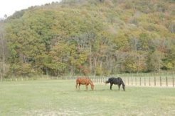 周りの山が色付き始める季節となった