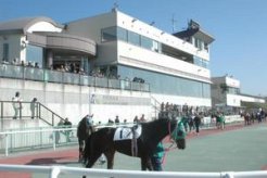 開幕した門別競馬場