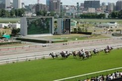 札幌の街並みが迫る競馬場