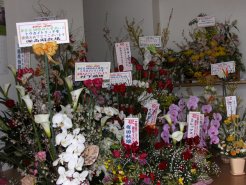 所狭しと置かれたお祝いの花