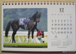 １２月：エイシンフラッシュ