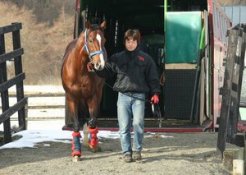 ８日、優駿スタリオンステーションに種牡馬入りしたパーソナルラッシュ