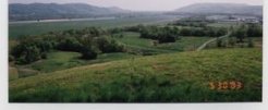 敷地内の丘の上から見たＪＲＡ日高育成牧場～参考写真から
