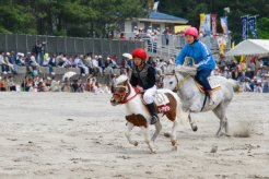 地元の子供達もポニーに騎乗