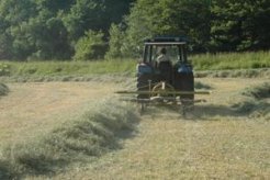 ロータリーレイキにより乾燥した牧草を寄せる作業