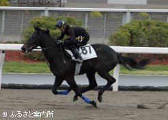 高額2位ピーチドラフト2019