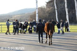 講義の成果を確認する歩様検査