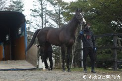 北海道スプリントC(Jpn3)など64戦11勝で現役生活を終えた