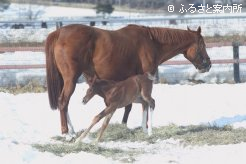 産後は母子ともに元気に過ごす