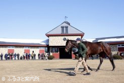 展示会のトップバッターを務めた