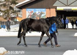 展示会のトップバッターを務めたコントレイル