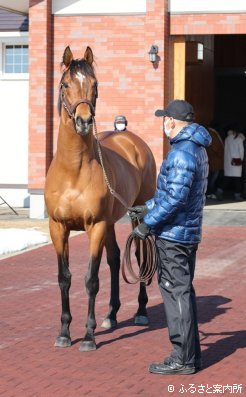 全兄がサトノダイヤモンドという良血馬のサトノジェネシス