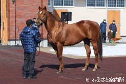 今年の展示会のトリを飾ったヘニーヒューズ