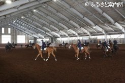 屋内馬場で行われた騎乗供覧