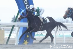 一番時計の50.4秒で駆け抜けた第1競走のダンストンムート