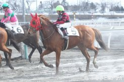 1位とタイム差なしで2位入線したネロ産駒のパスクロマーナ