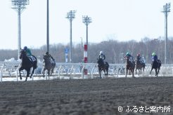 門別競馬場で始まった競走能力･発走調教検査