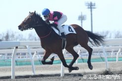 1位入線したデクラレーションオブウォー産駒のマルティーナ