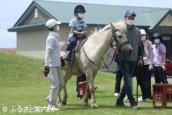 体験乗馬を楽しむ児童