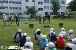 静内小学校で行われた馬の出張授業