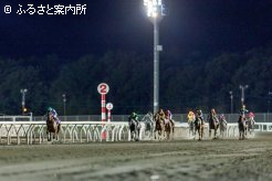 大きな差をつけて独走態勢のエンリル(左端)