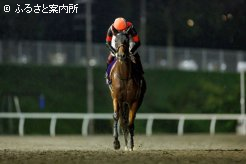 「どんな位置でも競馬ができるのが強み」とパートナーに信頼を寄せる福永騎手