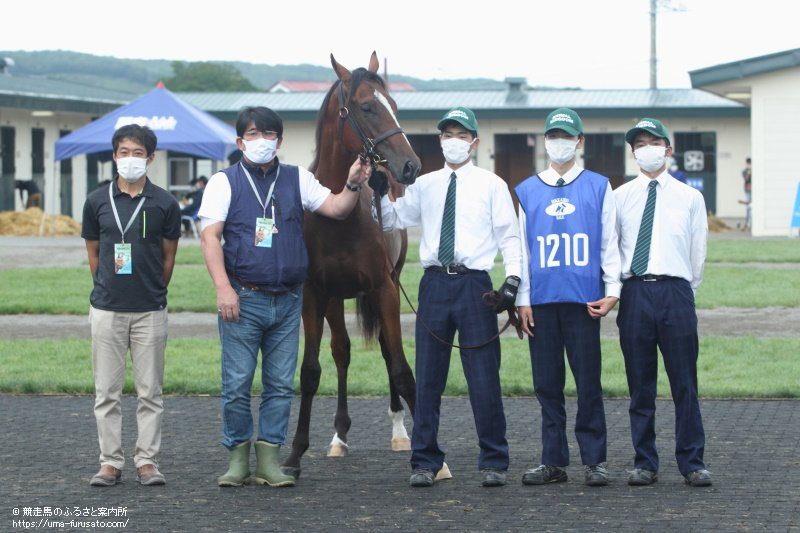 北海道静内農業高等学校生産馬が北海道サマーセールで売却 | 馬産地