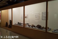 ギャラリー内には馬にまつわる品々が展示されている