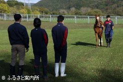 馬見せを想定した引き馬展示の実習