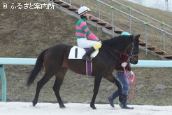 宮内勇樹騎手は浦河町出身の20歳