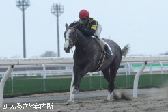 49.8秒で駆け抜けたクールソリッド