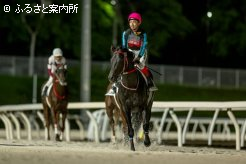 ルーキーの阿岸騎手もダービー初参戦