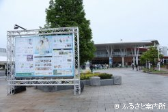 JRA北海道シリーズが開幕した函館競馬場