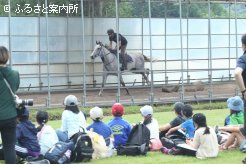 ゴールデンハインドの調教を見学した