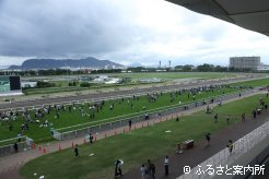 最終日に行われた芝コース開放イベント