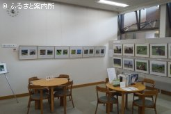 42点の作品が展示されている