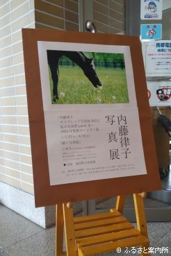 浦河町立図書館で始まった写真展